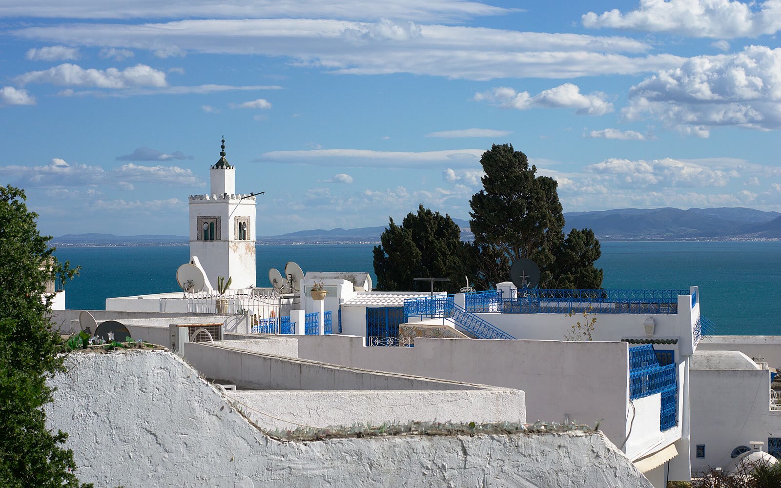 تونس